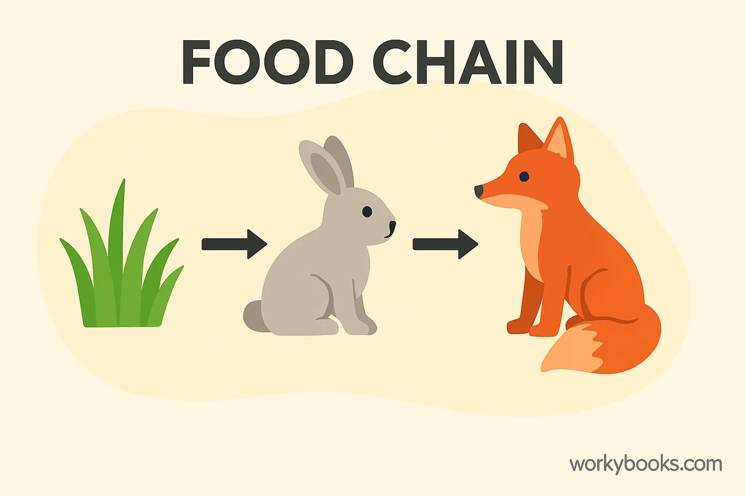 food-chain-1